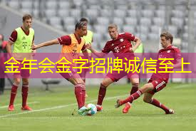什么木质的乒乓球台好