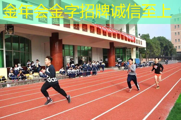 对篮球训练有帮助的器材