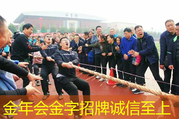 最顶级乒乓球台