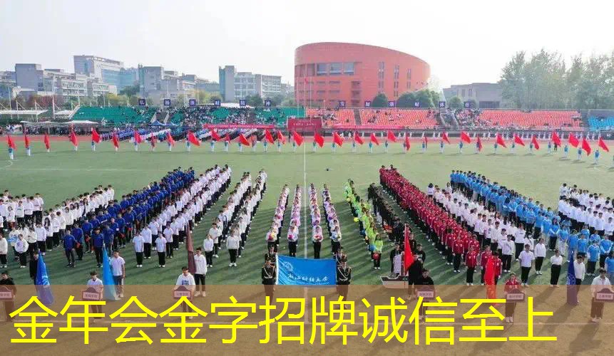 入门级最好的网球拍是哪种