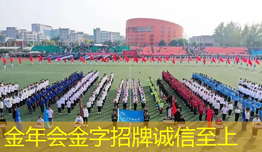 百保利网球拍怎么选择型号