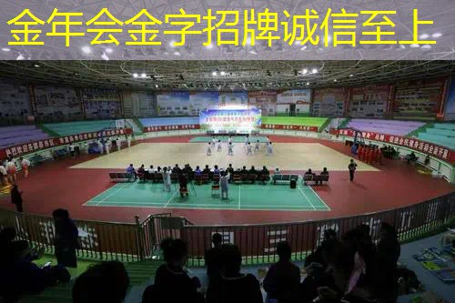 网球拍成人尤尼克斯