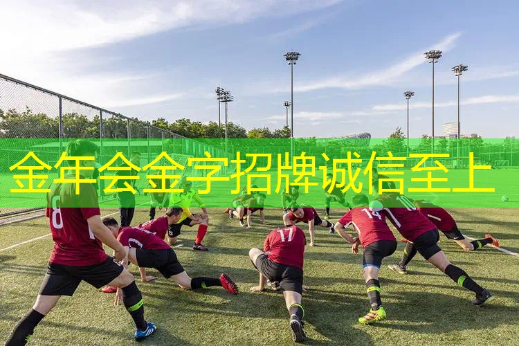泰尼飞网球拍球员