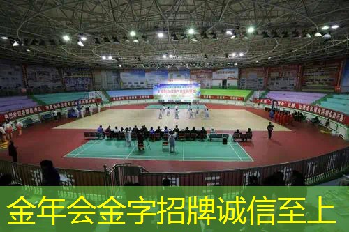 泰尼飞网球拍球员