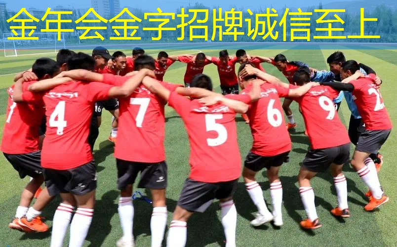 托普艾斯网球拍好吗_
