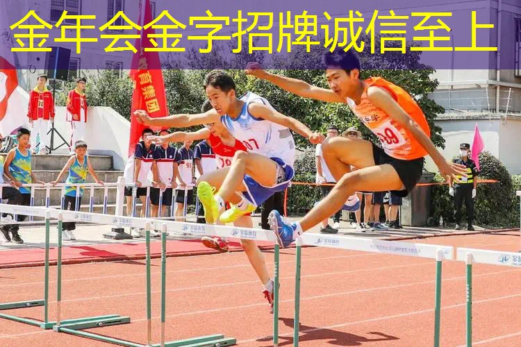 百保力专业网球拍老款