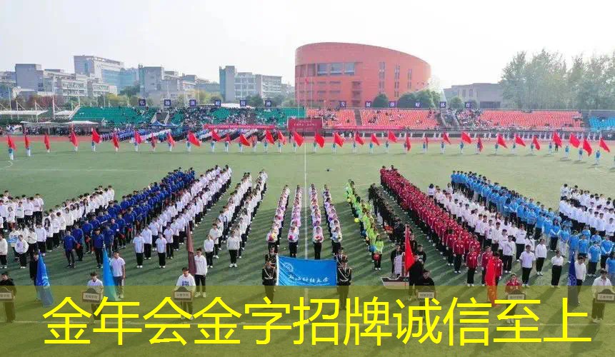 网球拍多钱一支