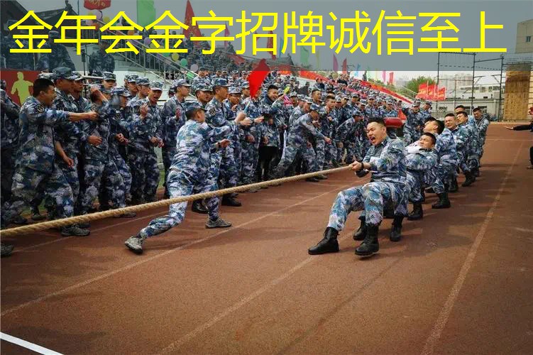 网球拍哪款适合新手使用
