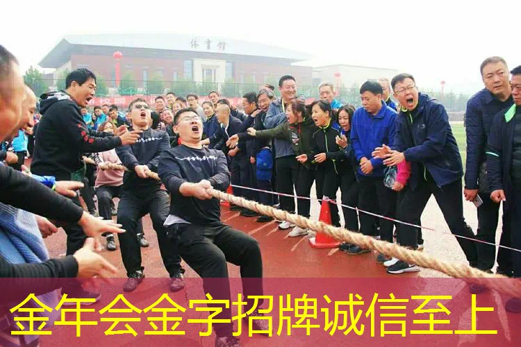 百保力网球拍23年