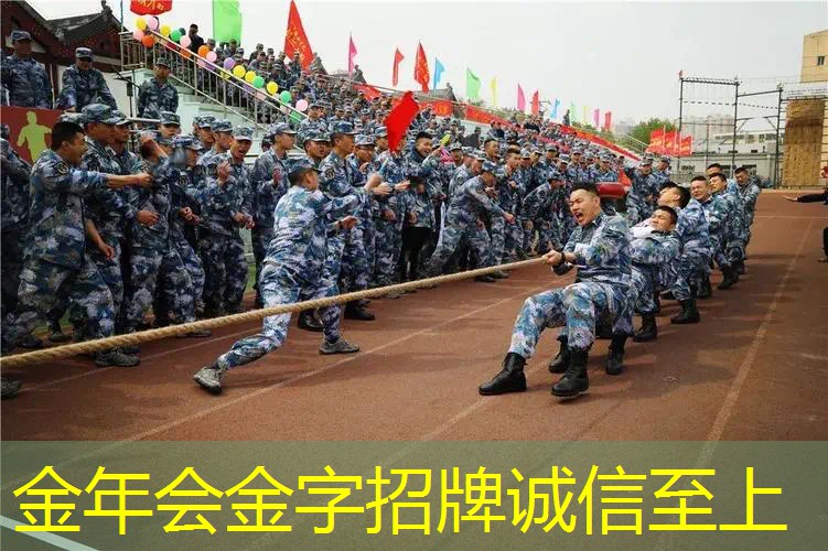 红灰配色的网球拍好吗_