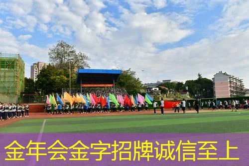可以回弹的网球拍有哪些
