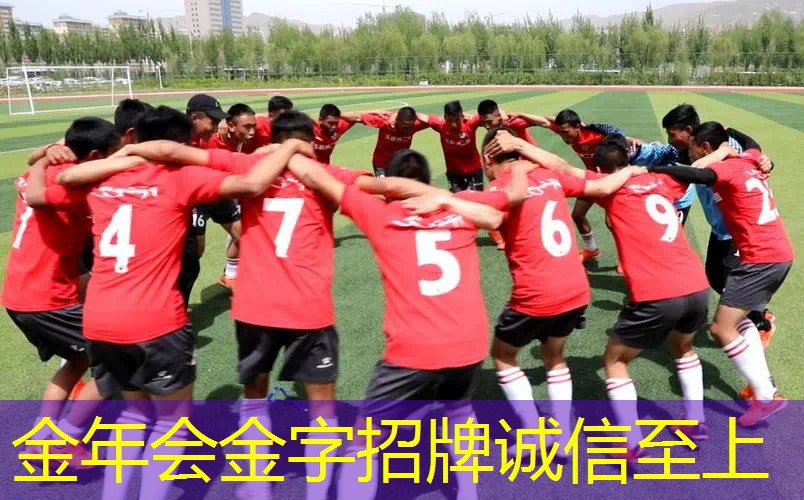 巨型网球拍道具怎么用不了