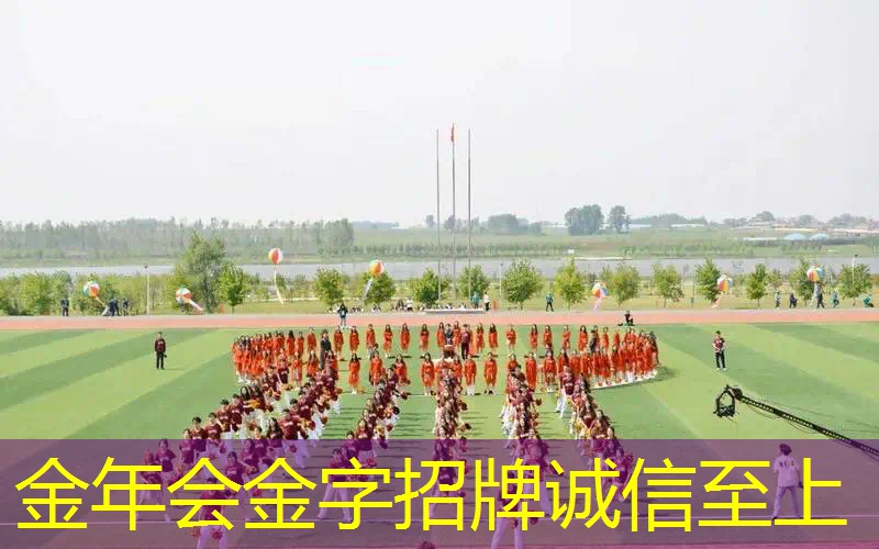 阿利亚西姆网球拍