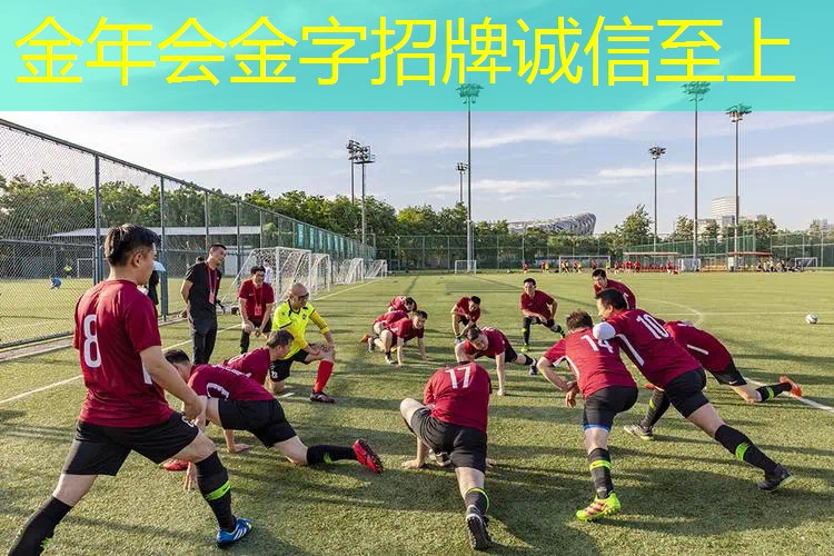 安全好玩又环保！儿童球木头滑梯大热销！